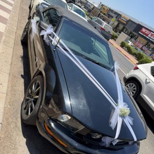 קישוט רכב 001