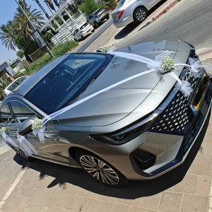 קישוט רכב 002